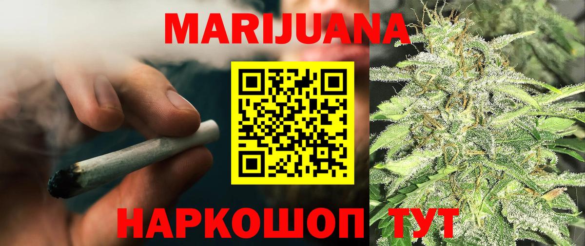 Бошки Шишки планчик Нальчик